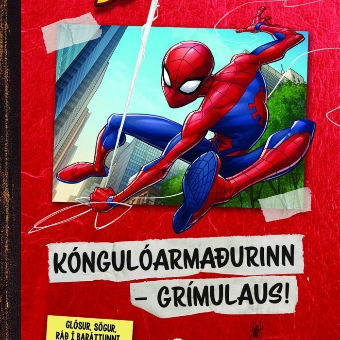 spiderman_ko_ngulo_armadurinn-gri_mulaus-700x1024