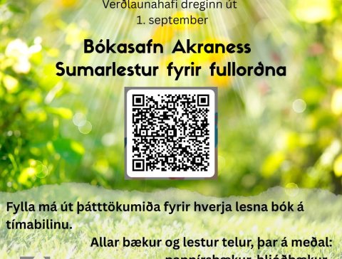 Sumarlestur fyrir fullorðna