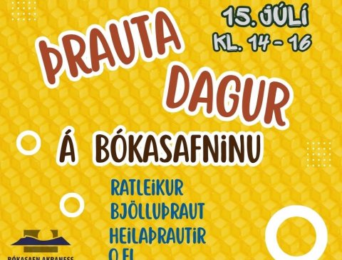 Þrautadagur