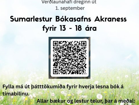 Sumarlestur fyrir ungmenni